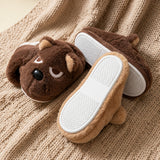 Ortopediska tofflor – Hund